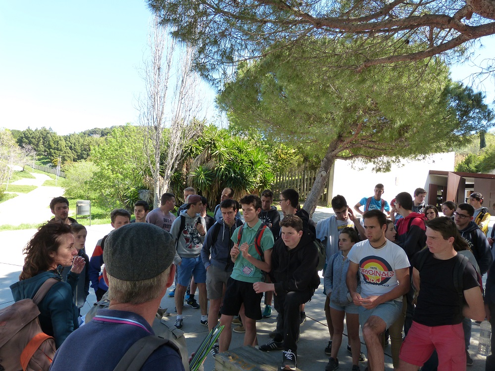 Visite guidée