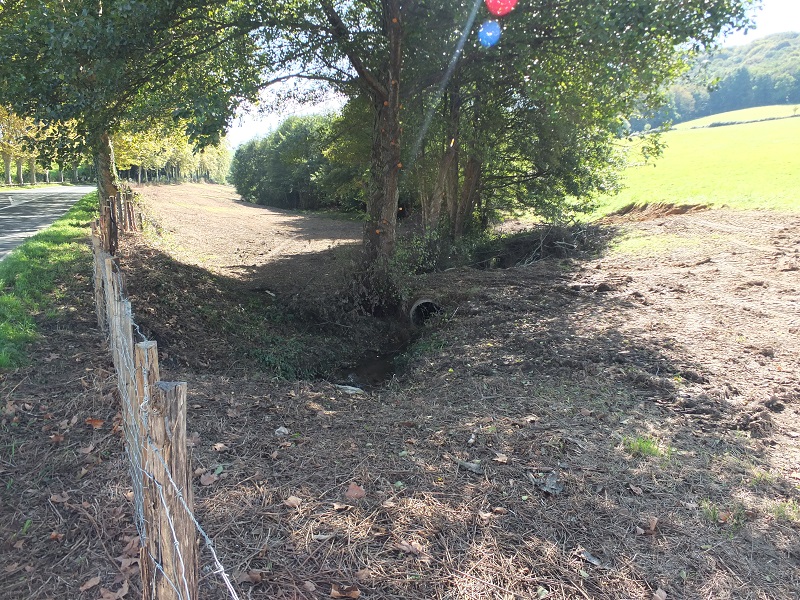 Travaux de défrichage des agros