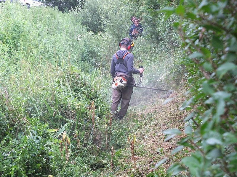 Travaux de débroussaillage