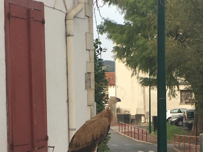 Rencontre insolite au lycée